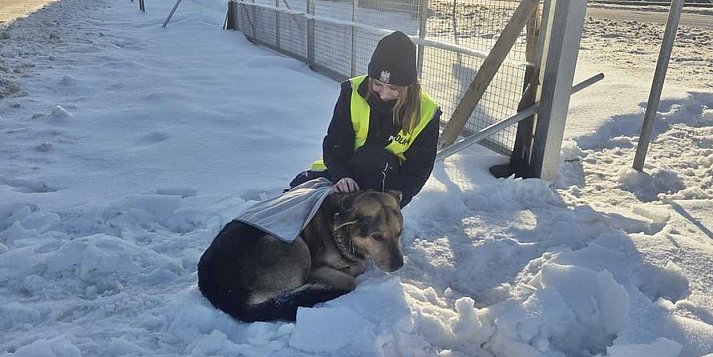 Na ratunek psu. Przykład dobrej współpracy i odpowiedzialnej reakcji