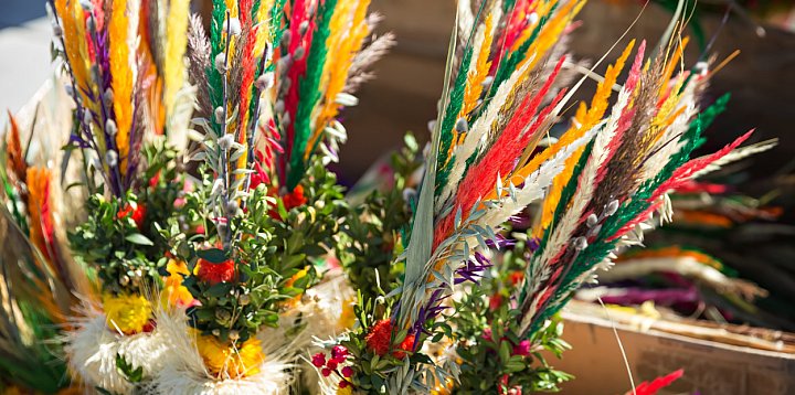 Najwyższa palma wielkanocna – rusza konkurs