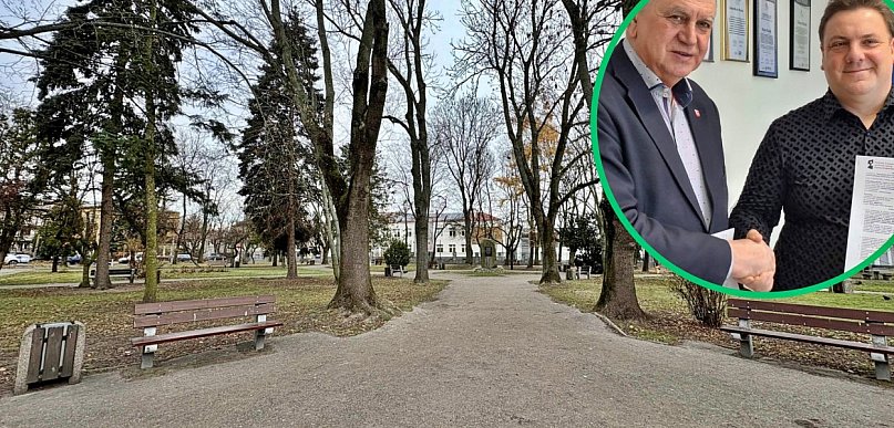 Zadbają o stare drzewa, ale posadzą też nowe. Ma być kolorowo i pachnąco