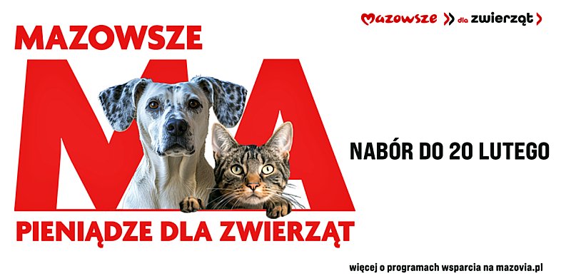 Samorząd Mazowsza pomoże bezdomnym zwierzętom