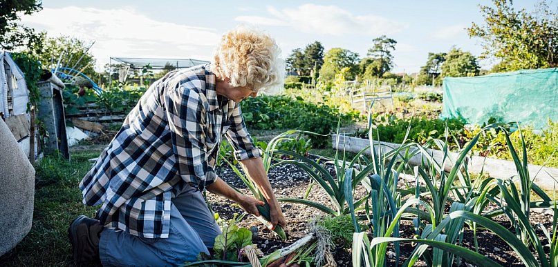 Rusza nabór do programu „Mazowsze dla działkowców”
