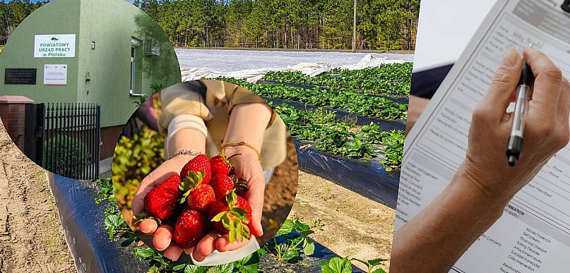 Co z zatrudnieniem obcokrajowców? Nowa ustawa przysporzyła problemów