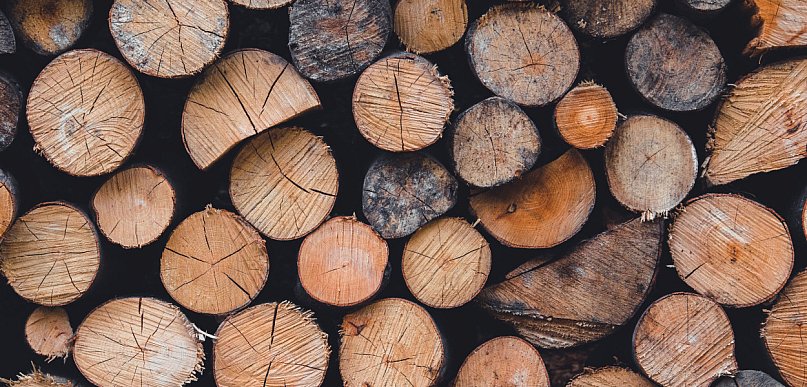 Używane maszyny stolarskie jako pomoc w Twoim zakładzie