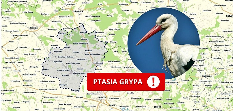Wirus poza fermą. Ptasia grypa atakuje dzikie ptactwo