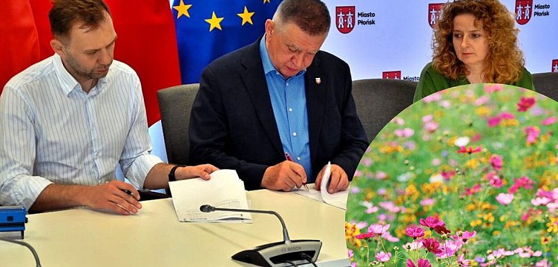 Więcej zieleni, nowe łąki i odnowione tereny. Płońsk inwestuje w naturę