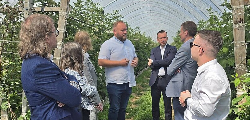 O przyszłości polskich owoców miękkich. Branża przedstawiła pięć postulatów