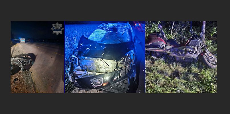 Zwierzęta na drogach - te statystyki powinny dawać do myślenia. Uważajmy!  - 24130