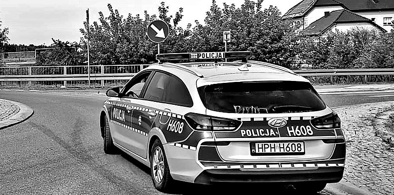 Policyjna kontrola: Ukrainiec może być zobligowany do opuszczenia Polski - 24186