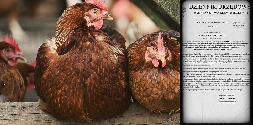 Jest rozporządzenie w sprawie zwalczania wysoce zjadliwej grypy ptaków - 25085