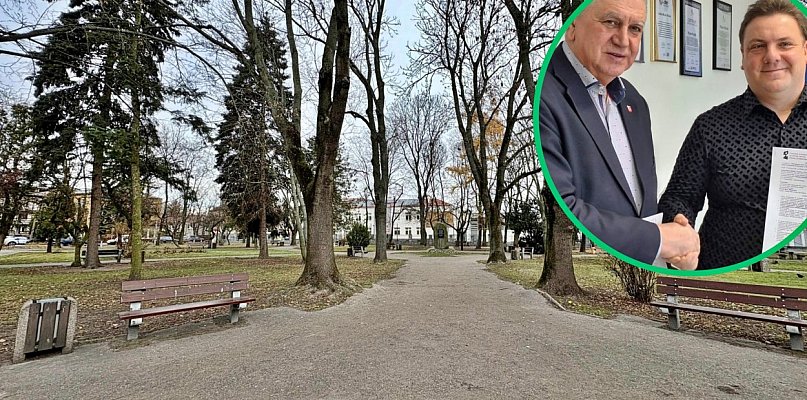 Zadbają o stare drzewa, ale posadzą też nowe. Ma być kolorowo i pachnąco - 25879