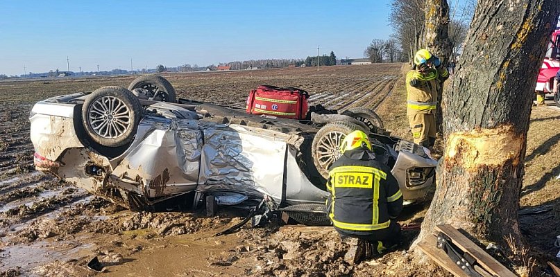Ford uderzył w drzewo i dachował. Kierowca w szpitalu