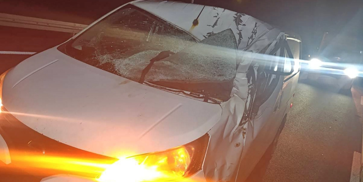 Na drogach naszego powiatu coraz częściej pojawiają się dzikie zwierzęta. Mogą one nagle wtargnąć na jezdnię zarówno na drogach gminnych czy powiatowych, jak i na trasach krajowych o dużym natężeniu ruchu. Policja apeluje o wzmożoną ostrożność [fot.: zbiory KPP w Płońsku]