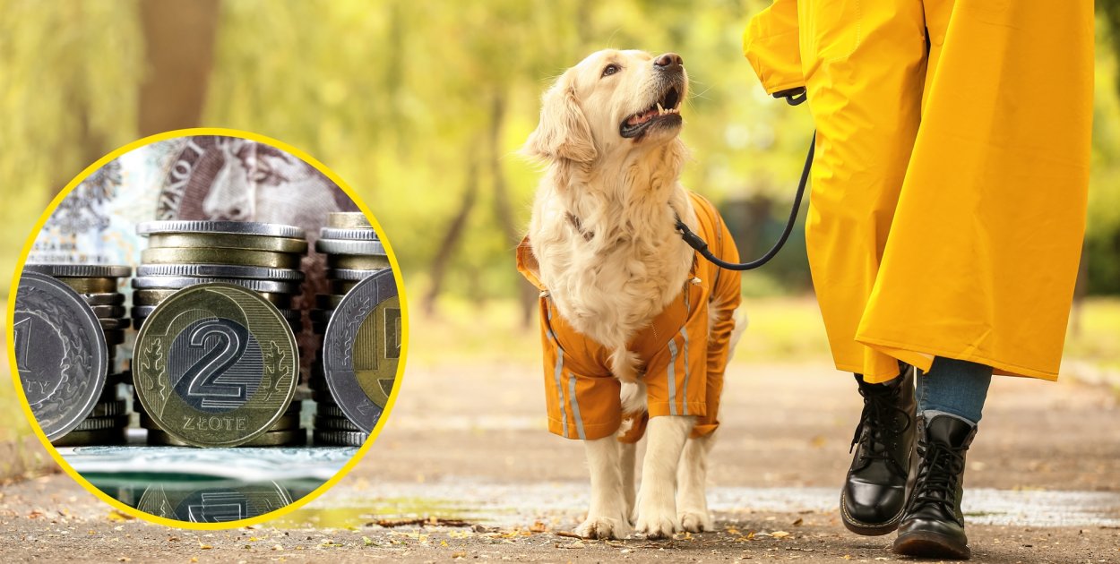 fot.: canva/zdjęcia ilustracyjne