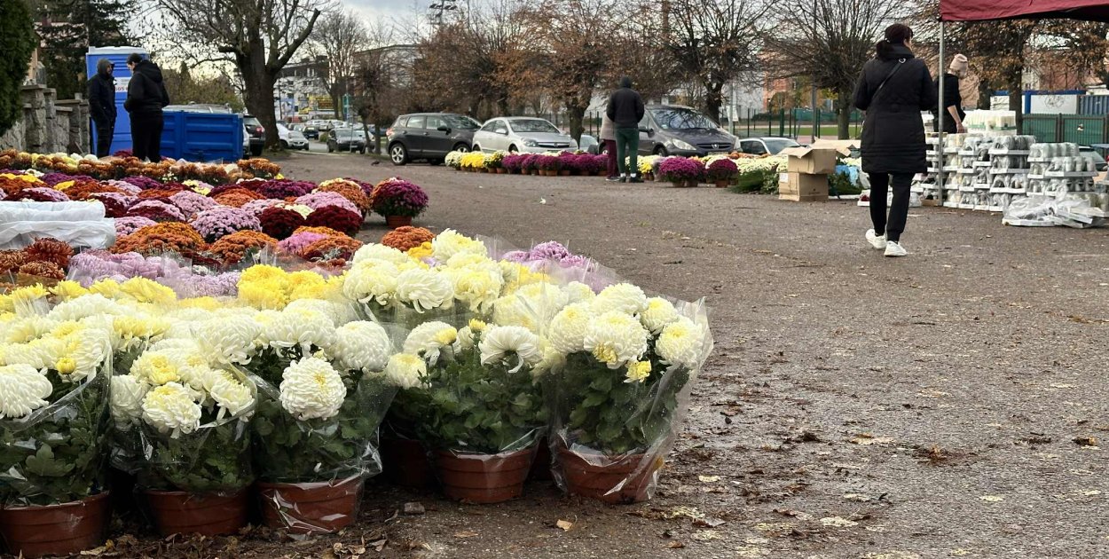 fot.: zbiory UM w Płońsu