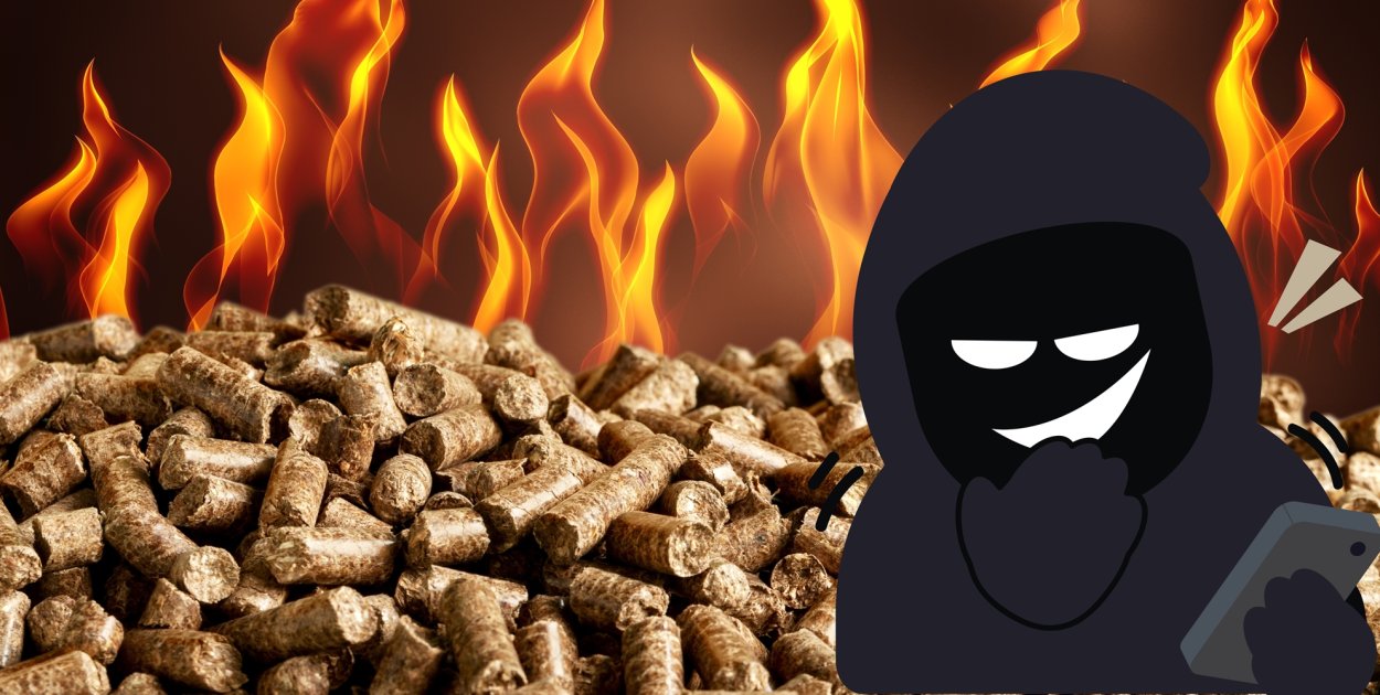 fot. canva/zdjęcia ilustracyjne]