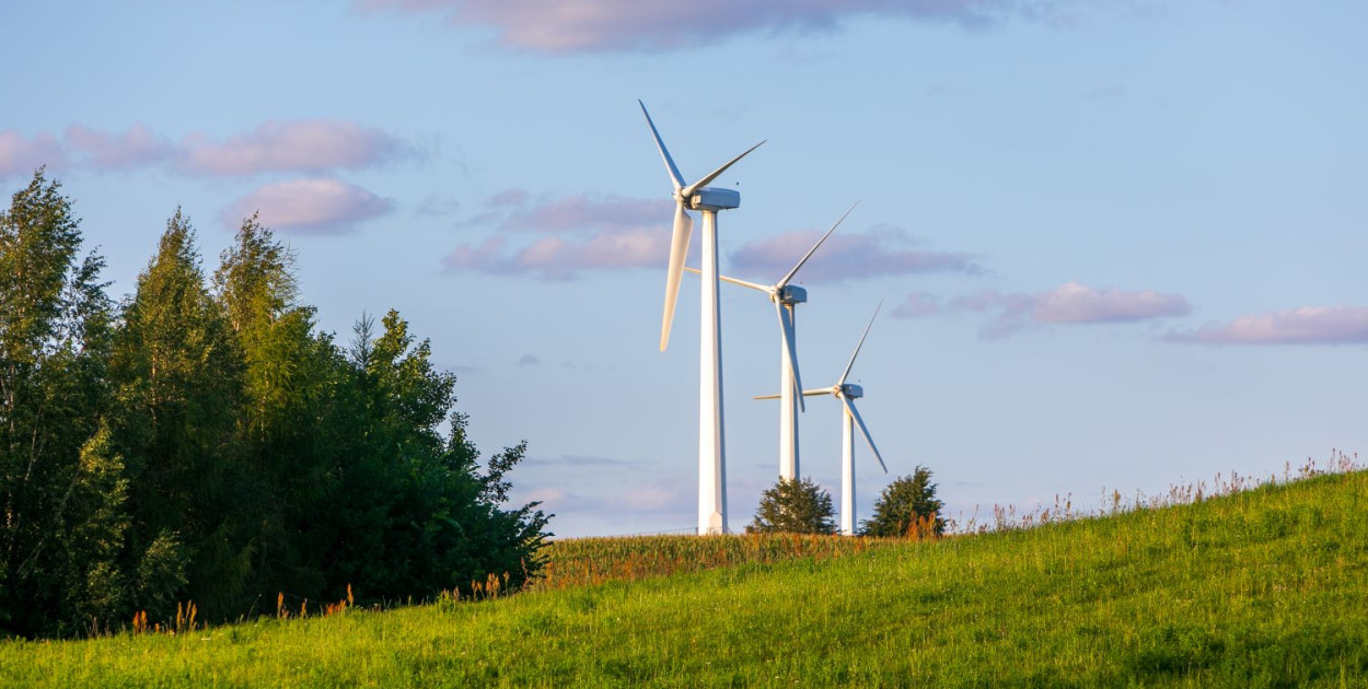 Fot. PAP MediaRoom/P.Werewka