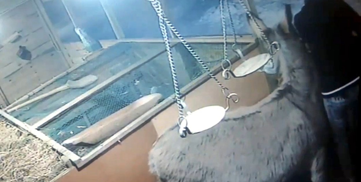 Screen z nagrania z monitoringu