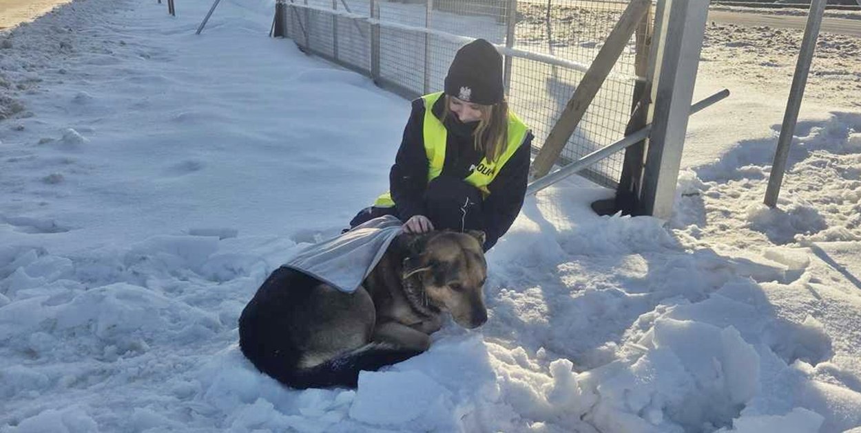 fot.: zbiory KPP w Płońsku