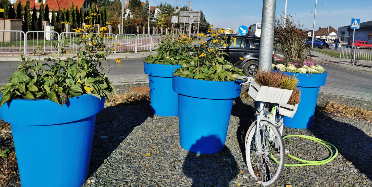 Przybędzie 2 800 nowych roślin, powstanie nowa łąka kwietna
