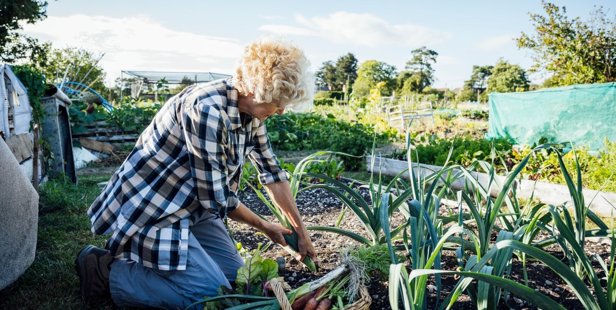 Rusza nabór do programu „Mazowsze dla działkowców”