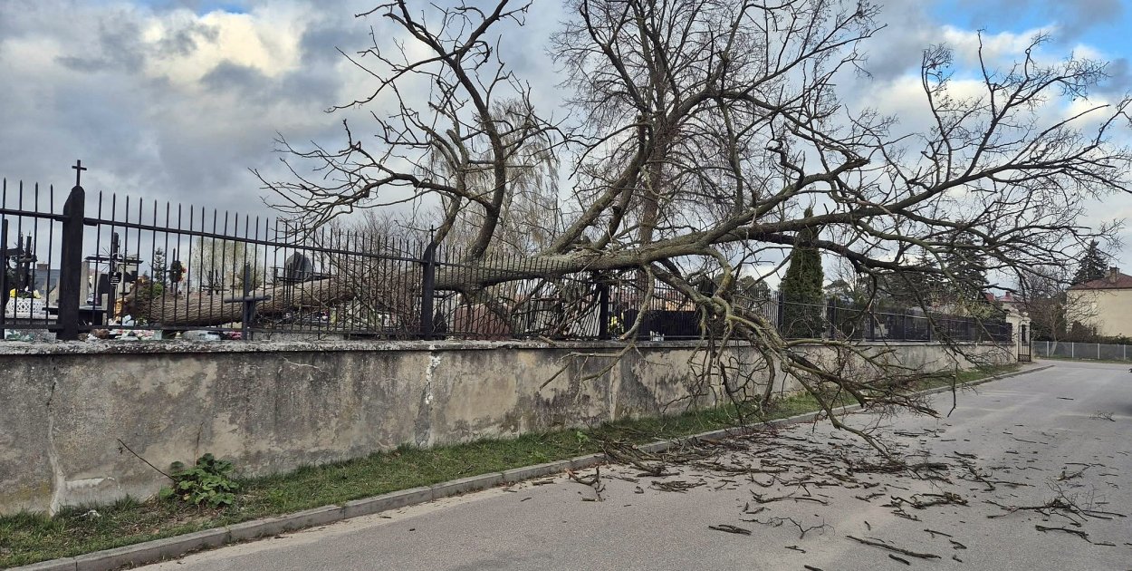 Jest już spokojniej, ale wczoraj wiatr dawał się jeszcze we znaki