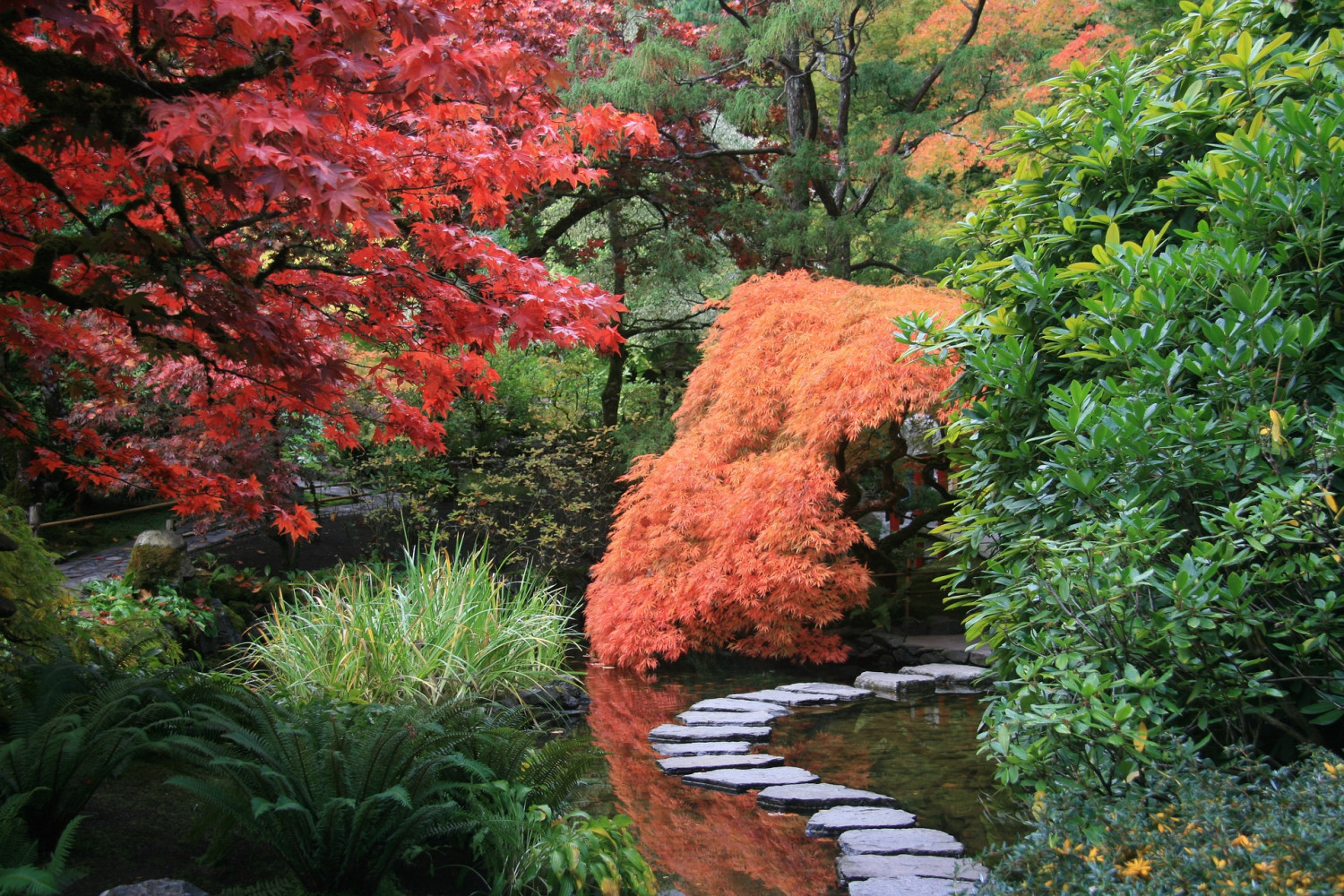 Ogród w stylu japońskim jest pracochłonny, ale efektowny i unikatowy.